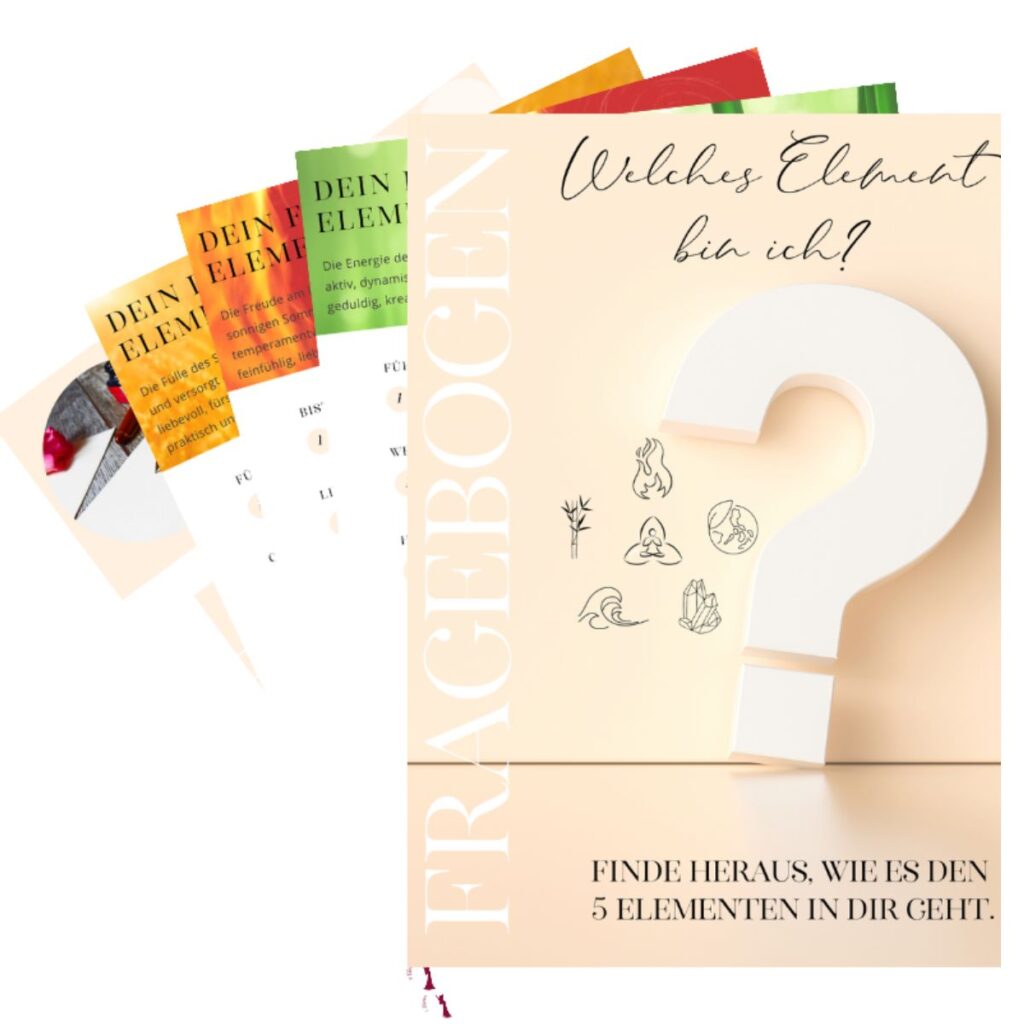 5-Elemente-Fragebogen von Birgit Lieser
